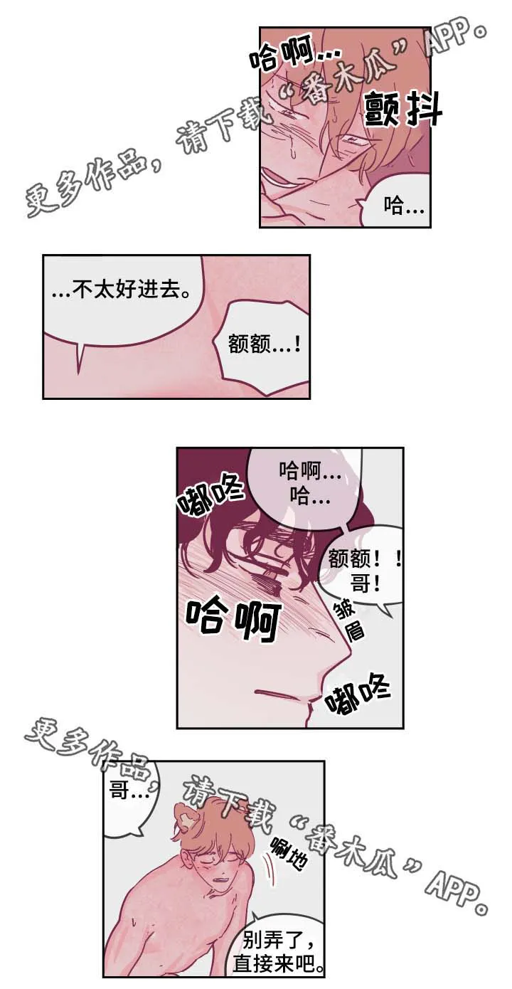 阴谋与争斗漫画漫画,第34章：喜欢吗5图