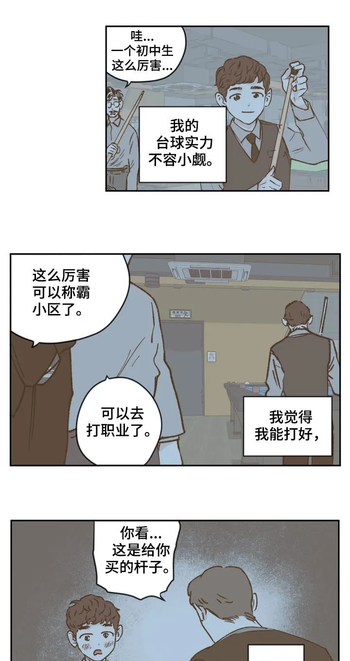 《阴谋与爱情》漫画,第48章：台球3图