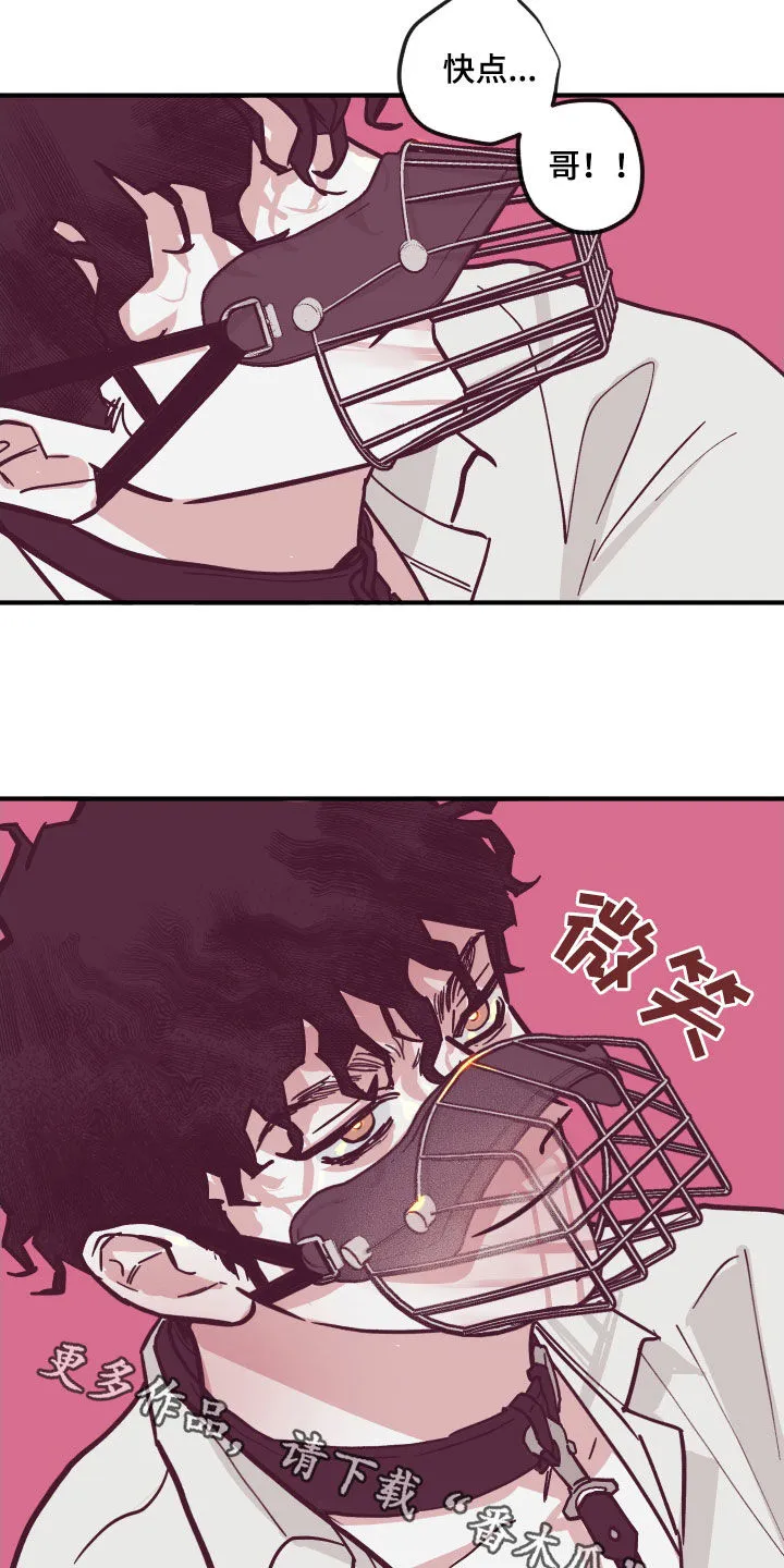 阴谋与争斗漫画漫画,第169章：【番外】我都听你的13图