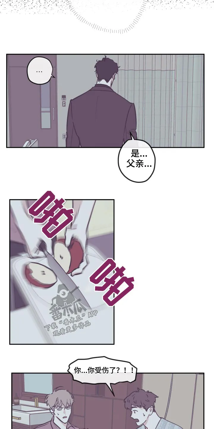 《阴谋与爱情》漫画,第142章：【第三季】我来了11图