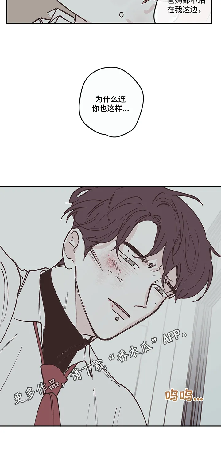 阴谋与争斗漫画漫画,第97章：【第三季】表白12图