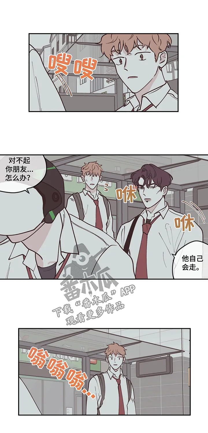 阴谋与争斗漫画漫画,第98章：【第三季】留学9图