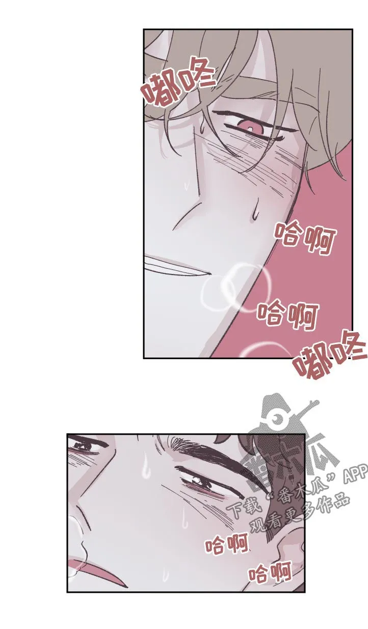 《阴谋与爱情》漫画,第80章：太可惜了10图