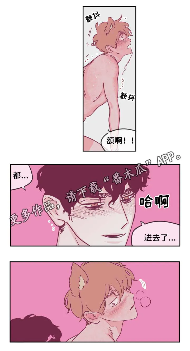 阴谋与争斗漫画漫画,第34章：喜欢吗6图
