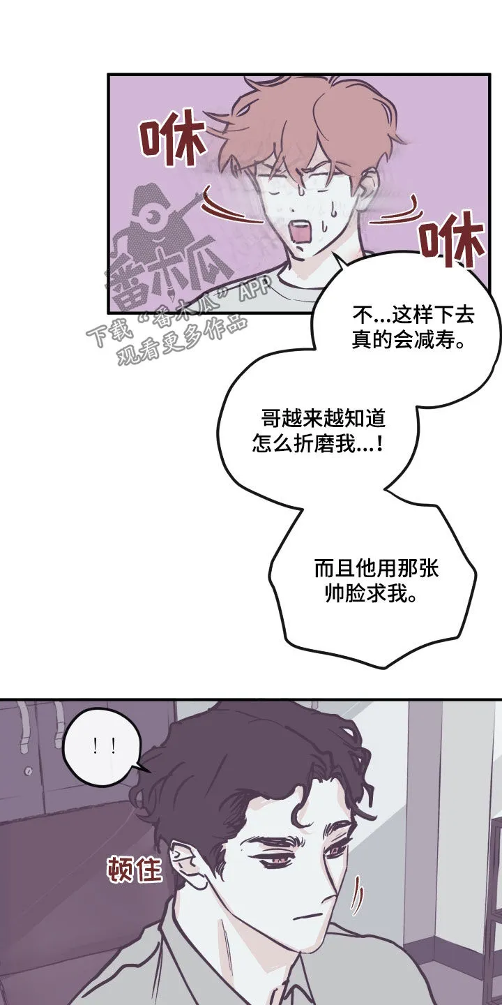 《阴谋与爱情》漫画,第165章：【番外】禁止6图