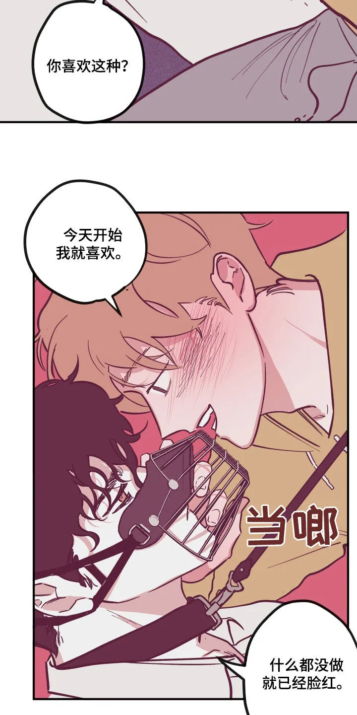 阴谋与争斗漫画漫画,第168章：【番外】今天开始喜欢6图