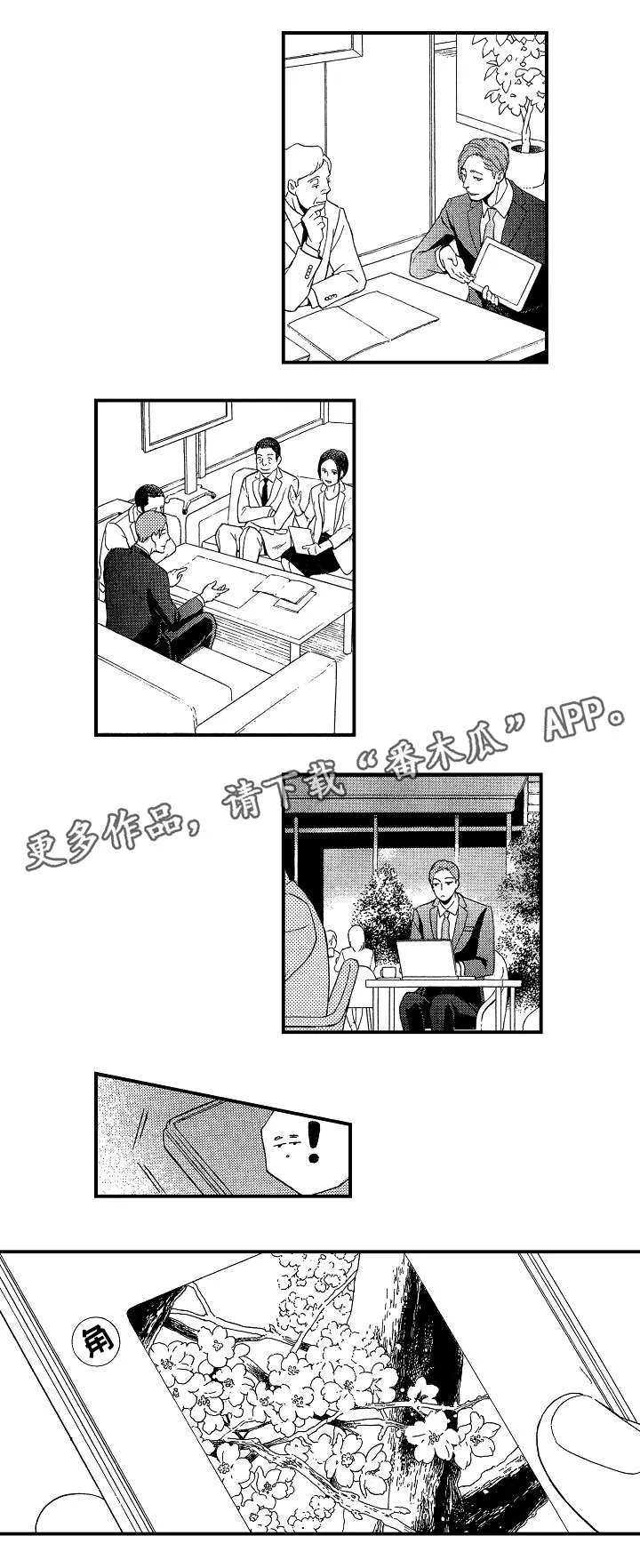 花落漫画解说漫画,第11章：说谎10图