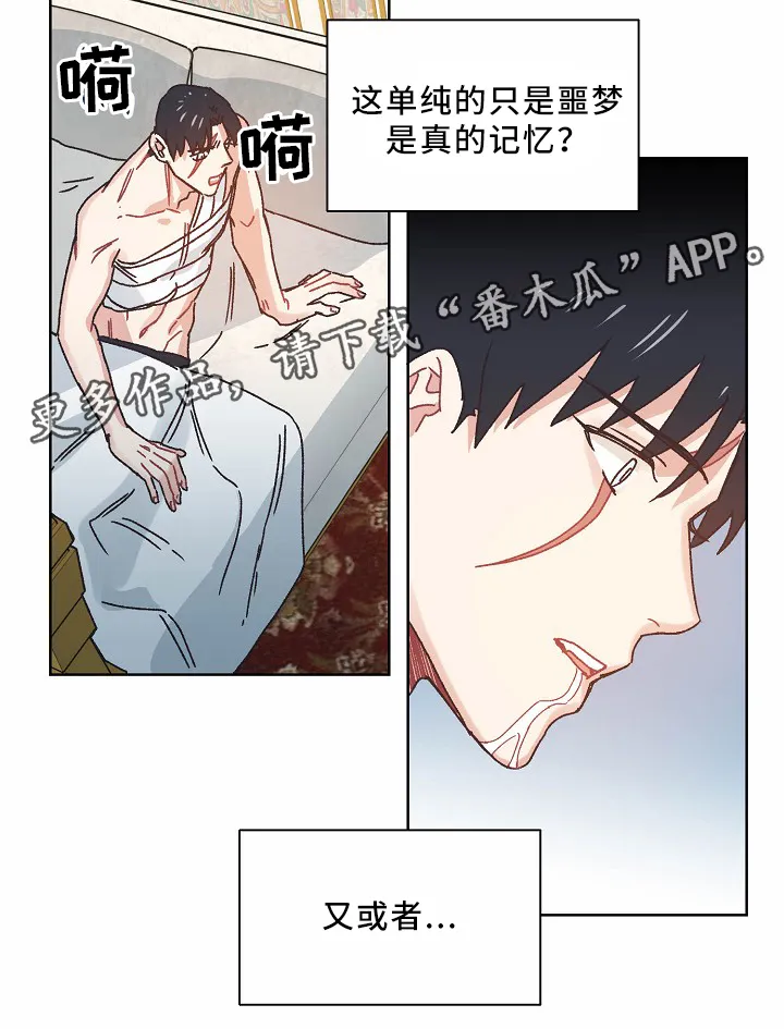 破碎的记忆漫画高清版漫画,第36章：记忆3图