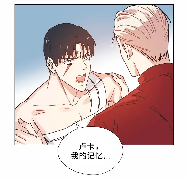 破碎的记忆漫画高清版漫画,第36章：记忆8图