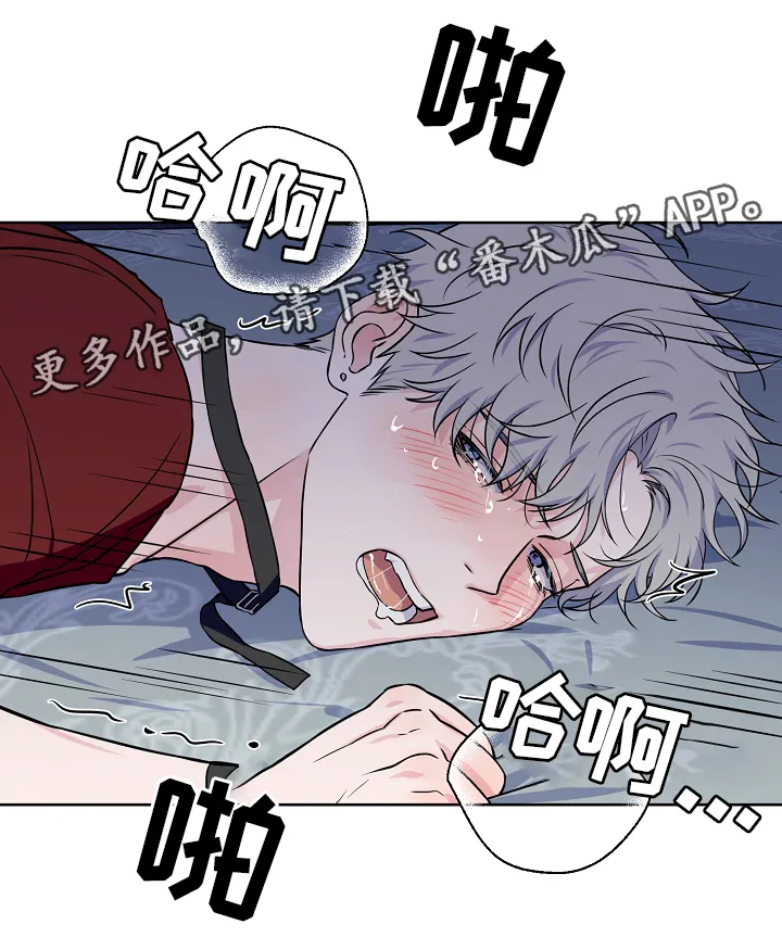 浪漫练习生漫画漫画,第41章：我可以18图