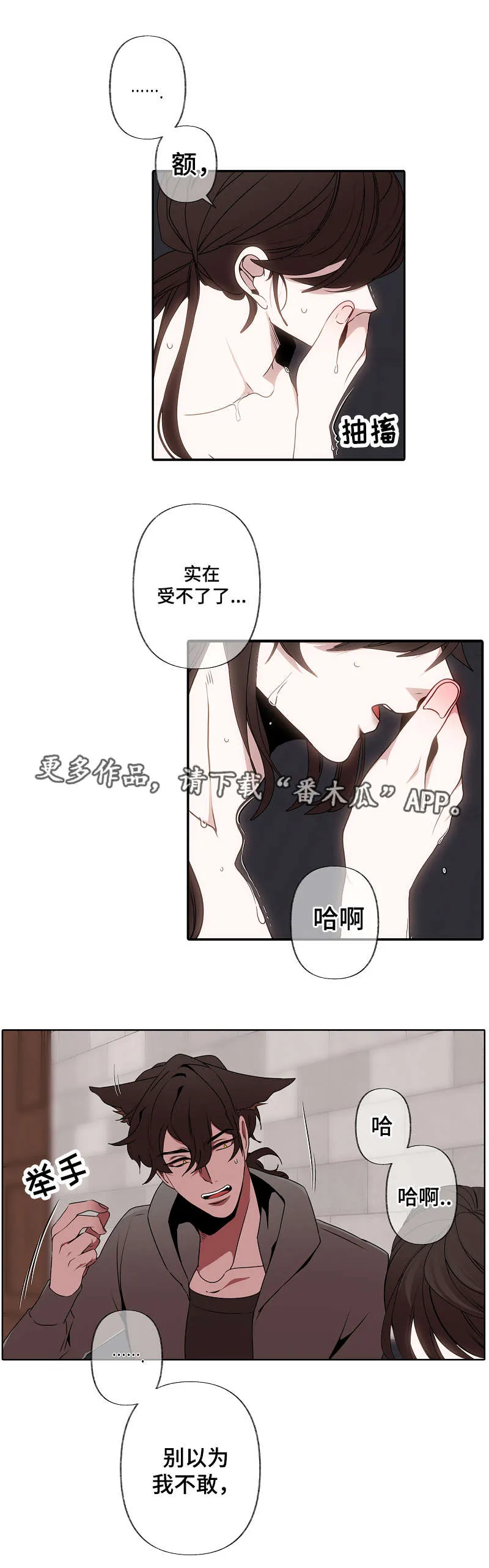 满月诅咒漫画免费结局在线观看漫画,第47章：迫不及待3图