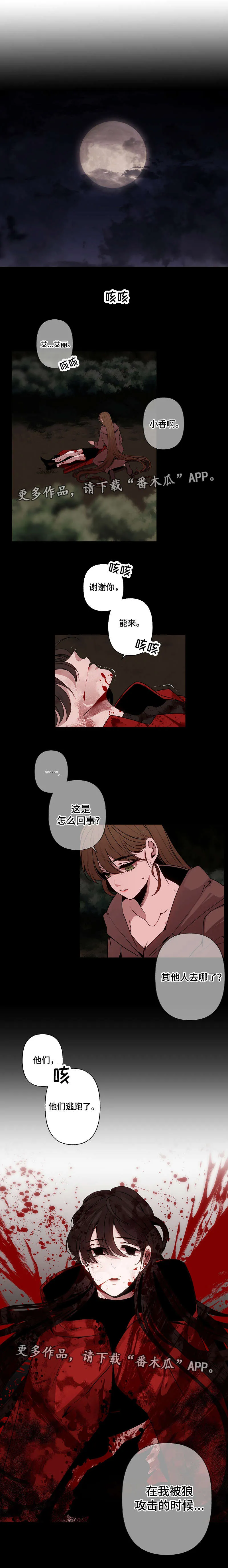 满月诅咒是哪国的漫画漫画,第43章：心意8图