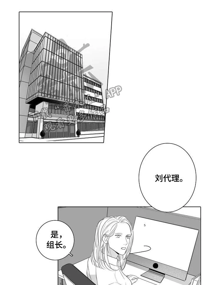职场秘事漫画漫画,第46章：底牌1图