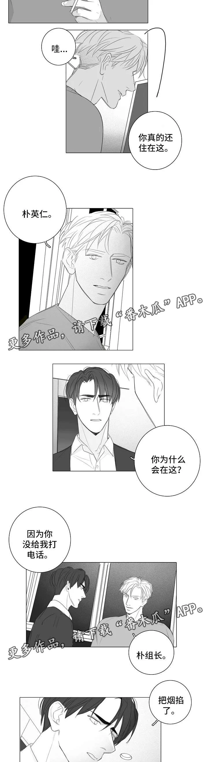 职场秘事漫画漫画,第38章：和以前一样3图