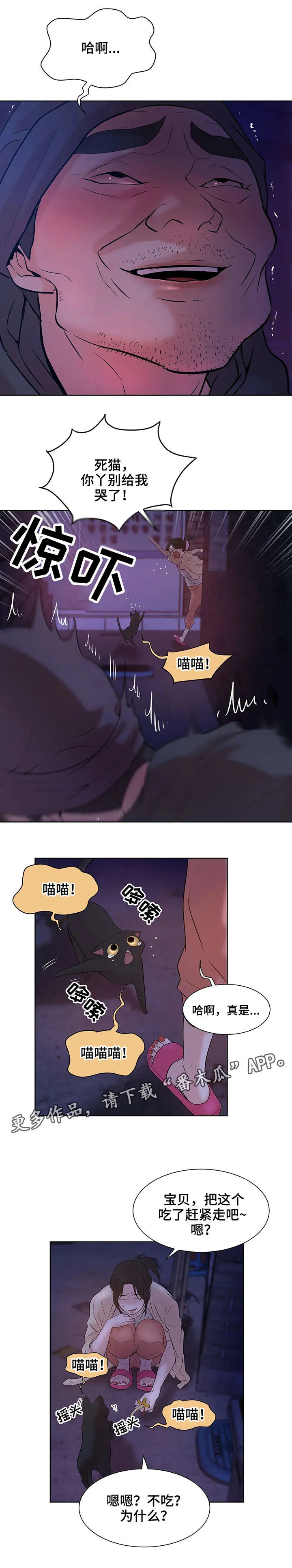 贝壳少年漫画第三季在线观看漫画,第13章：猫咪8图