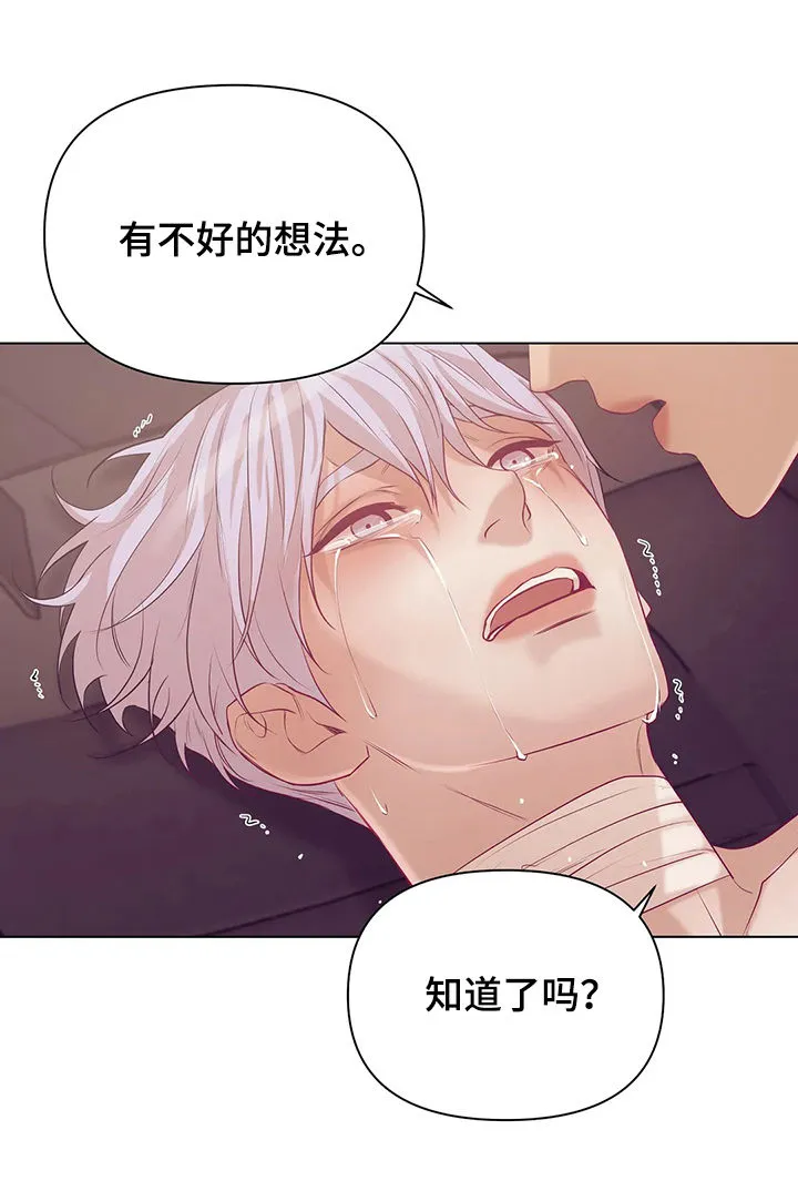贝壳少年漫画番木瓜漫画漫画,第65章：【第二季】再也不要10图