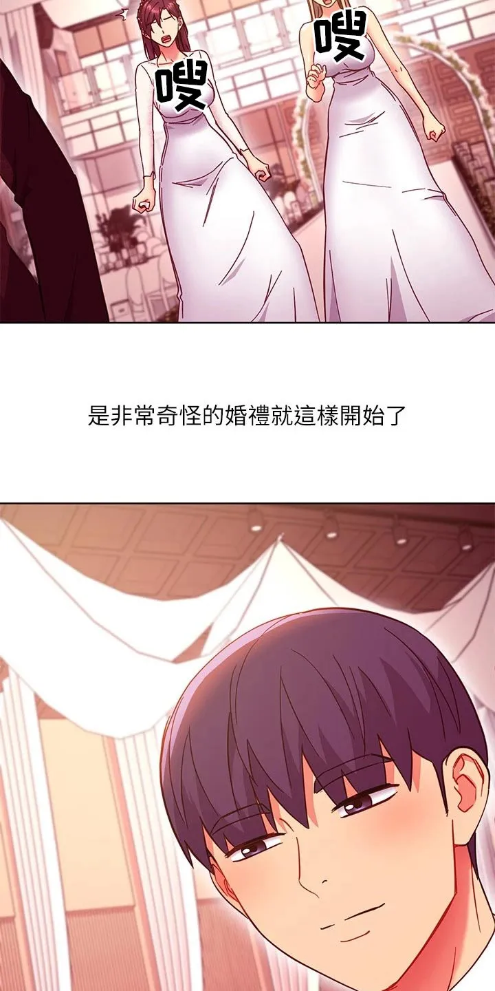 网络因缘漫画漫画,第267章：不一样的婚礼2图