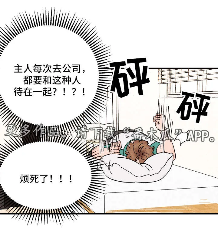 爱宠攻略漫画从哪看漫画,第26章：争风吃醋20图