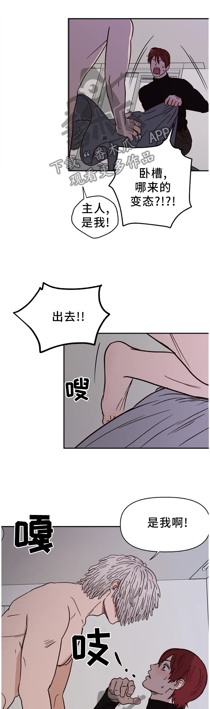 爱宠攻略小说漫画,第72章：【番外】报警1图