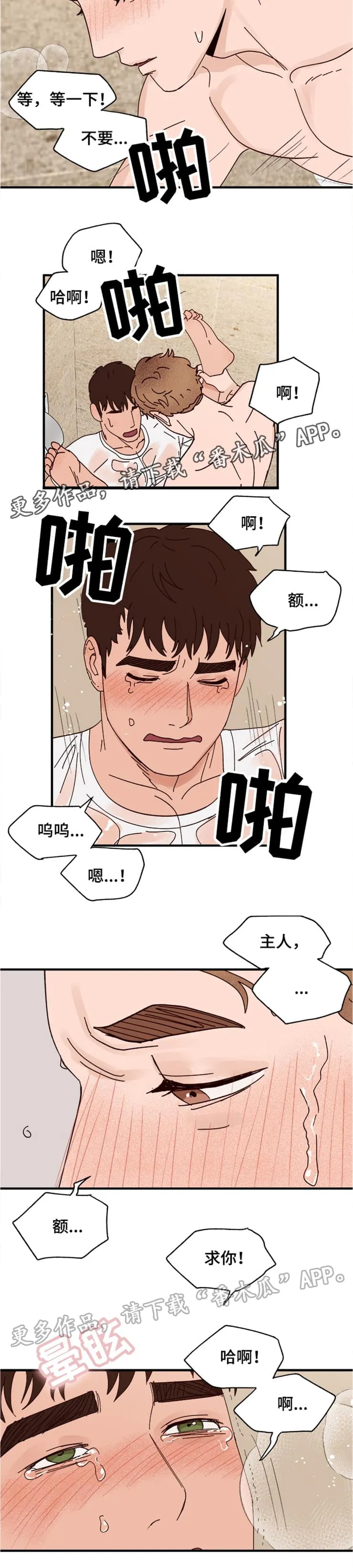 爱宠攻略小说漫画,第18章：可爱的坏人4图