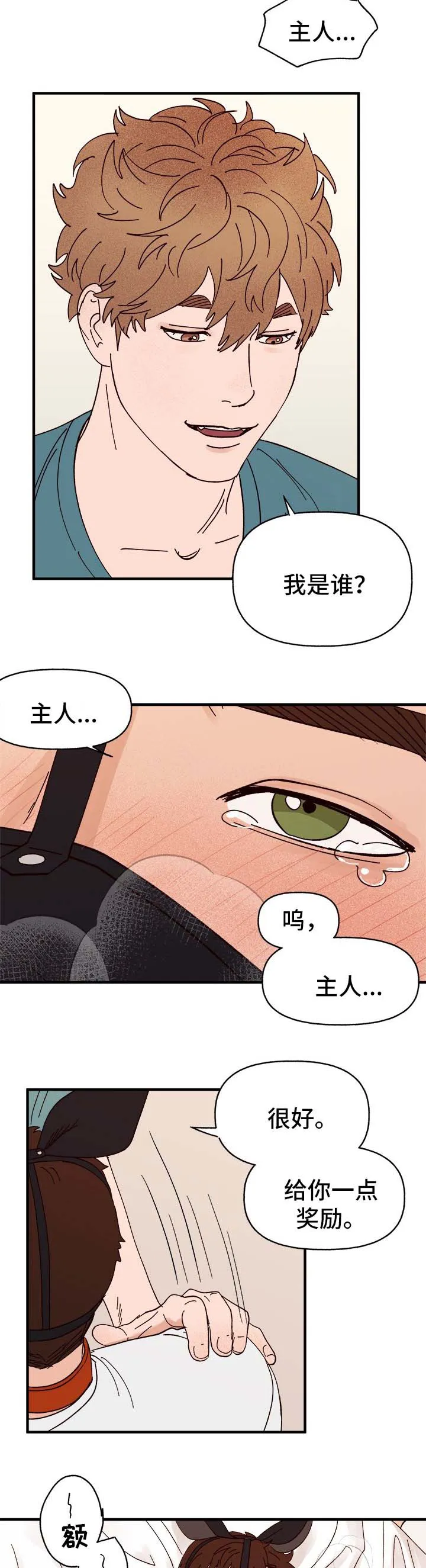 爱宠攻略你的主人漫画漫画,第29章：我是谁?12图