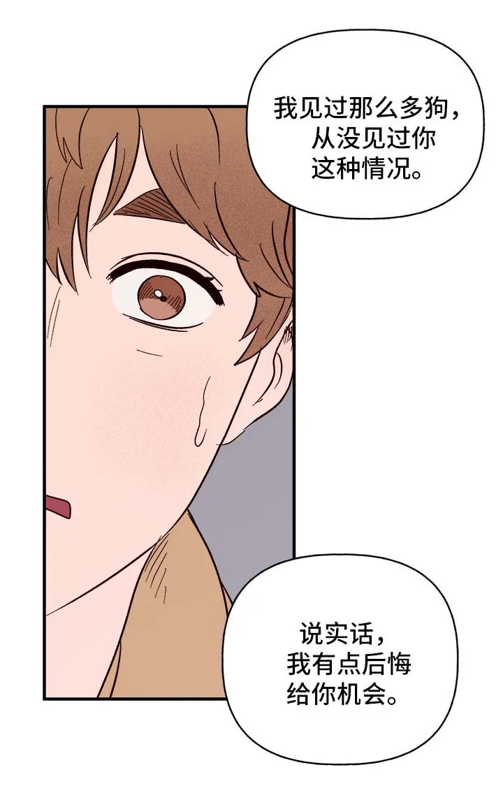 爱宠攻略你的主人漫画漫画,第37章：忠告17图