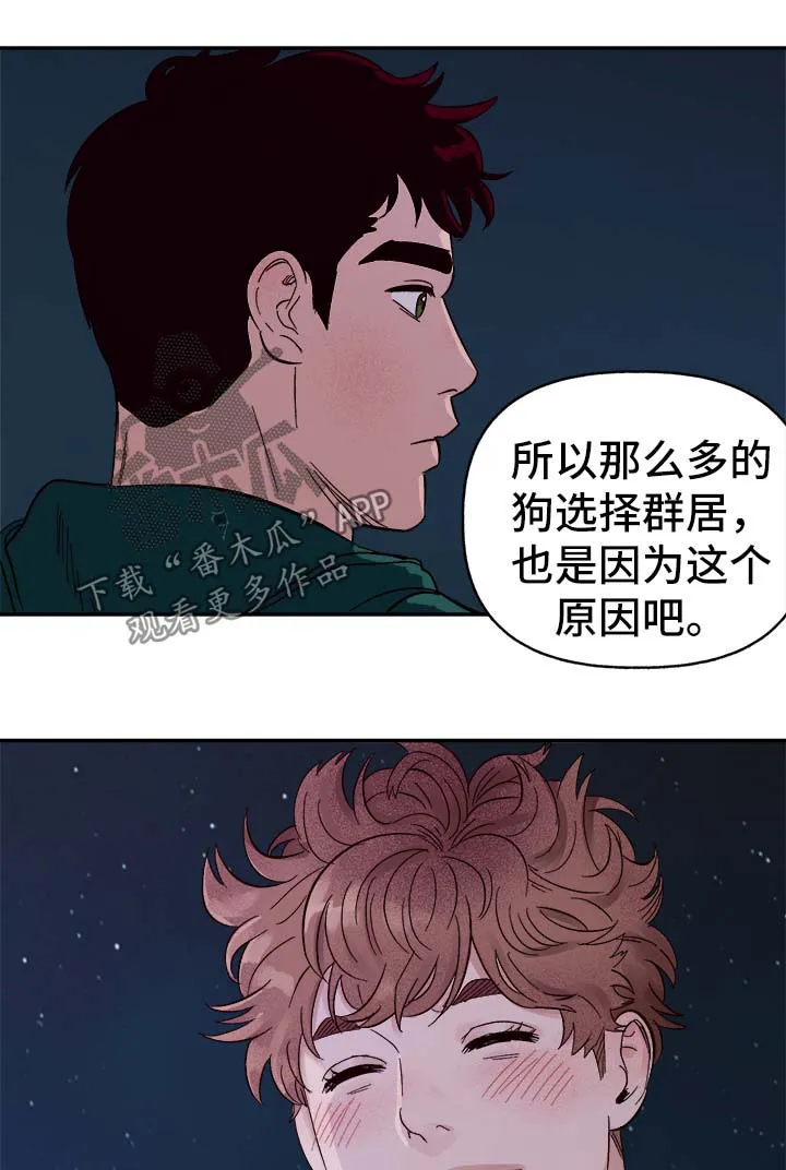 爱宠攻略你的主人漫画漫画,第39章：幸运21图