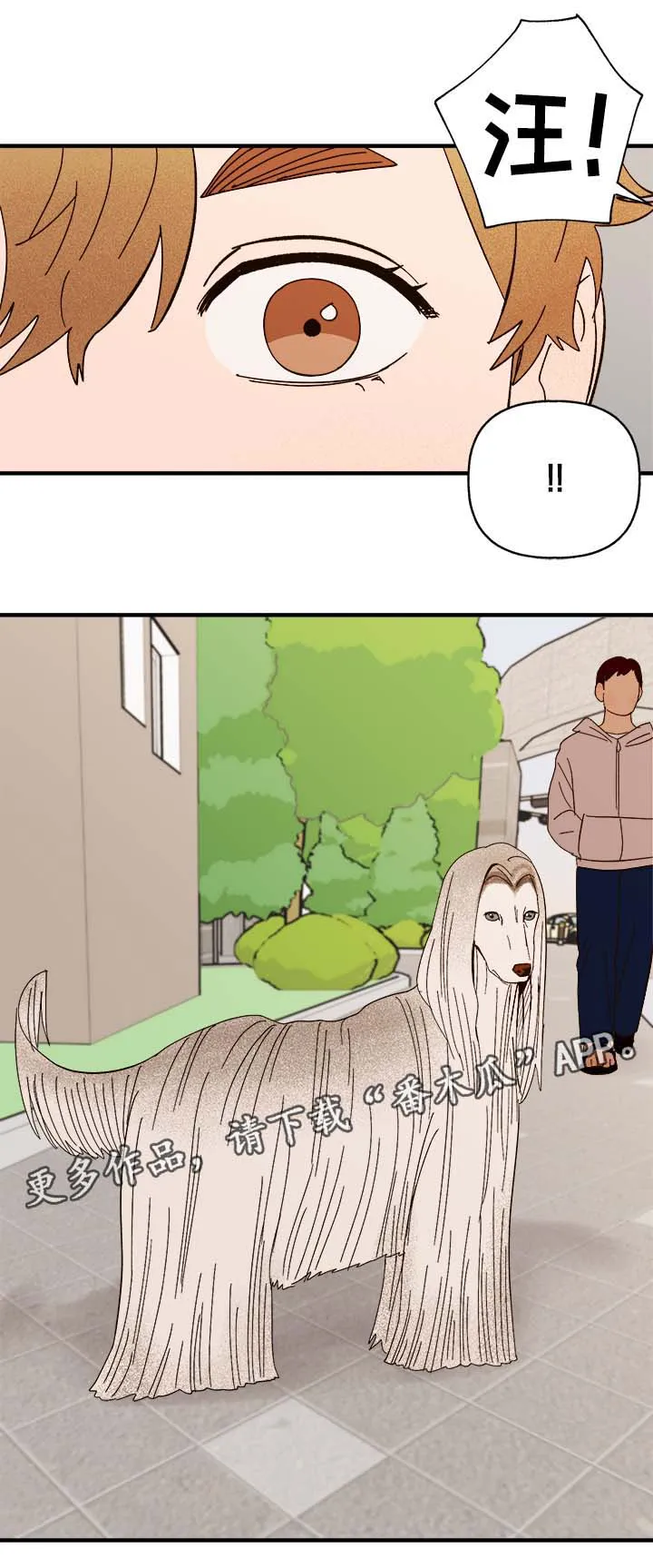 爱宠攻略你的主人漫画漫画,第33章：狗神6图