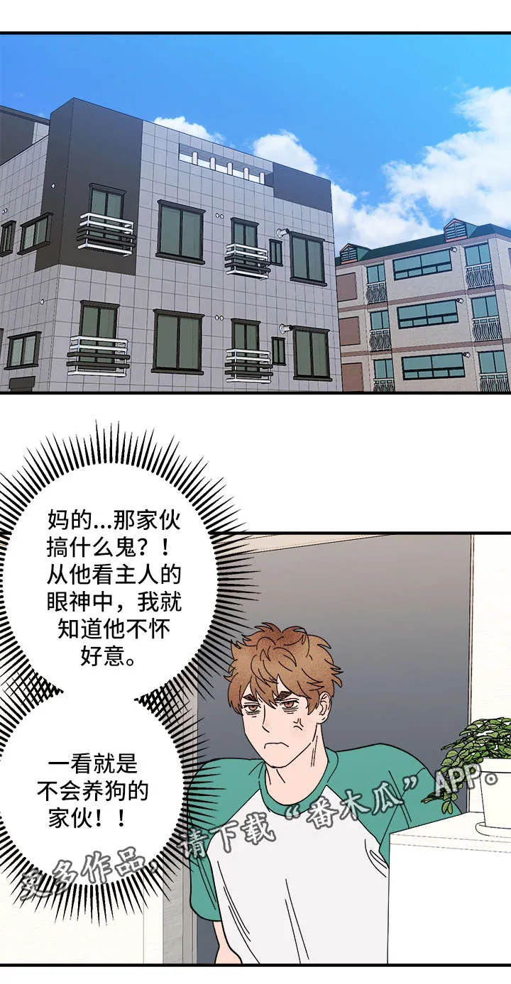 爱宠攻略漫画从哪看漫画,第26章：争风吃醋19图