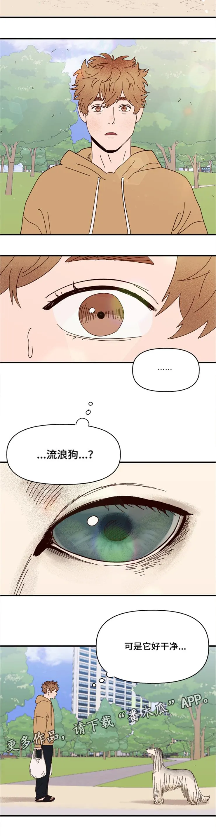 爱宠攻略小说漫画,第19章：传说6图