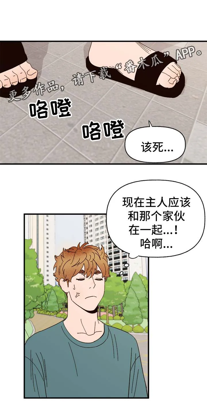 爱宠攻略你的主人漫画漫画,第33章：狗神5图