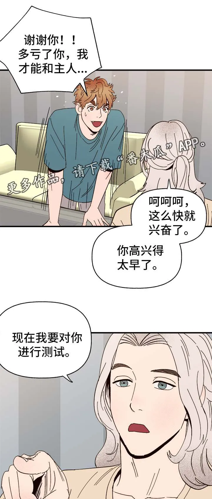 爱宠攻略你的主人漫画漫画,第34章：隐晦3图