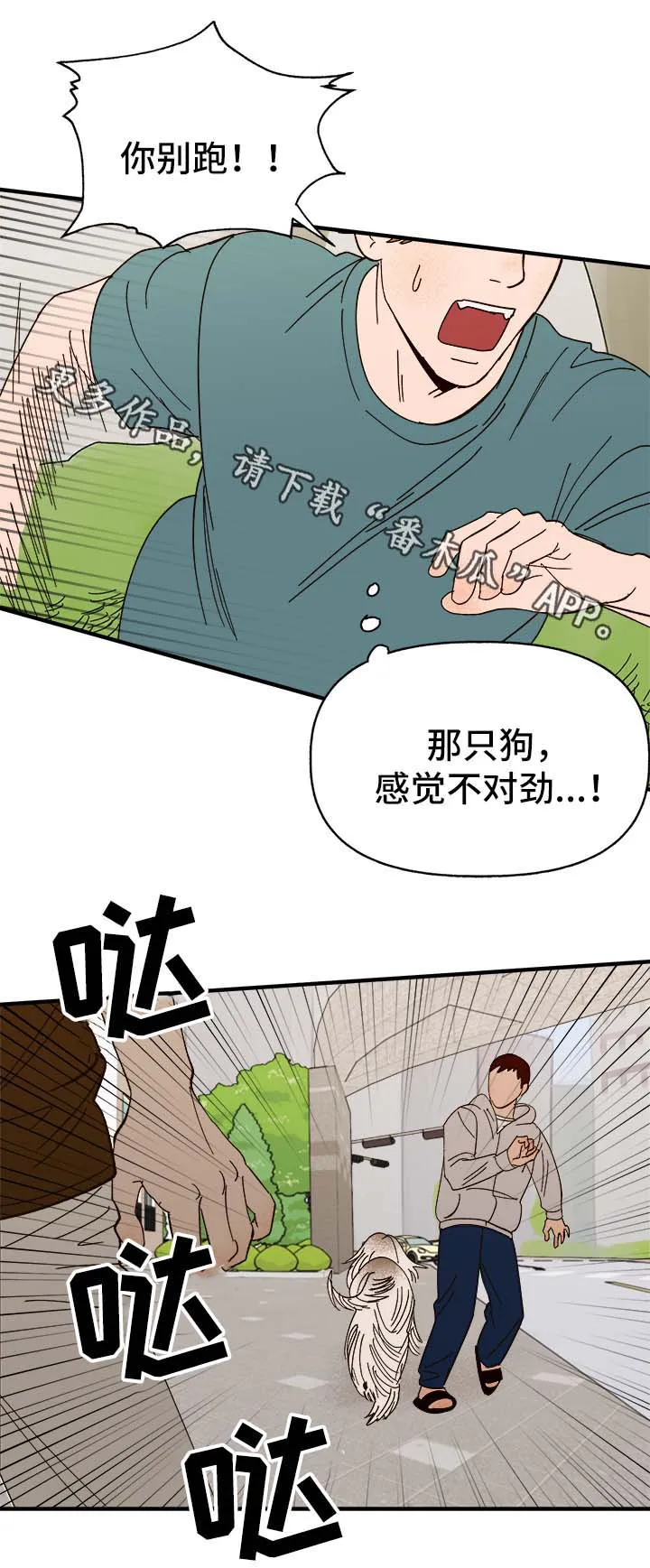 爱宠攻略你的主人漫画漫画,第33章：狗神8图