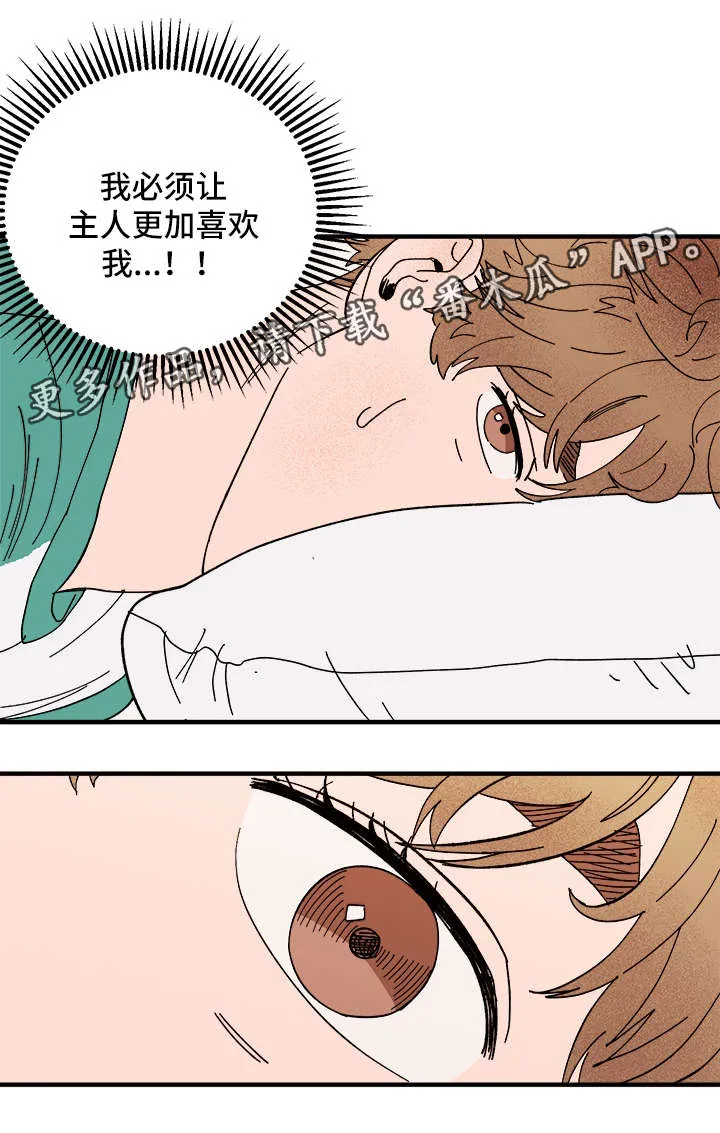 爱宠攻略漫画从哪看漫画,第26章：争风吃醋21图