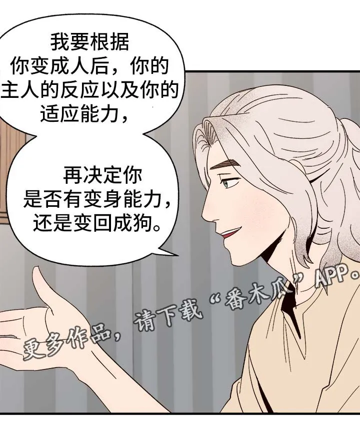 爱宠攻略你的主人漫画漫画,第34章：隐晦5图