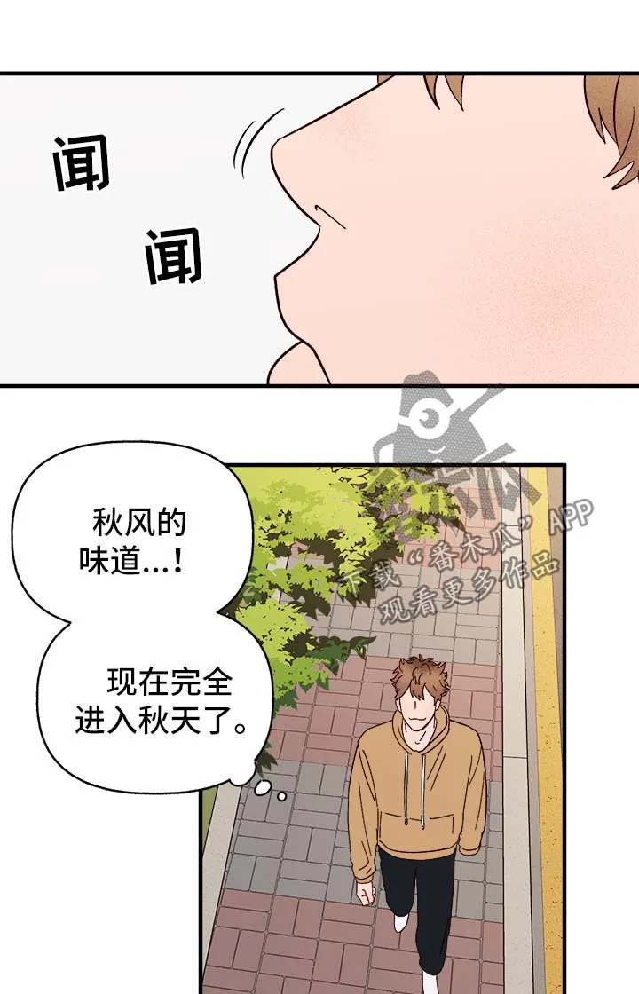 爱宠攻略你的主人漫画漫画,第37章：忠告1图