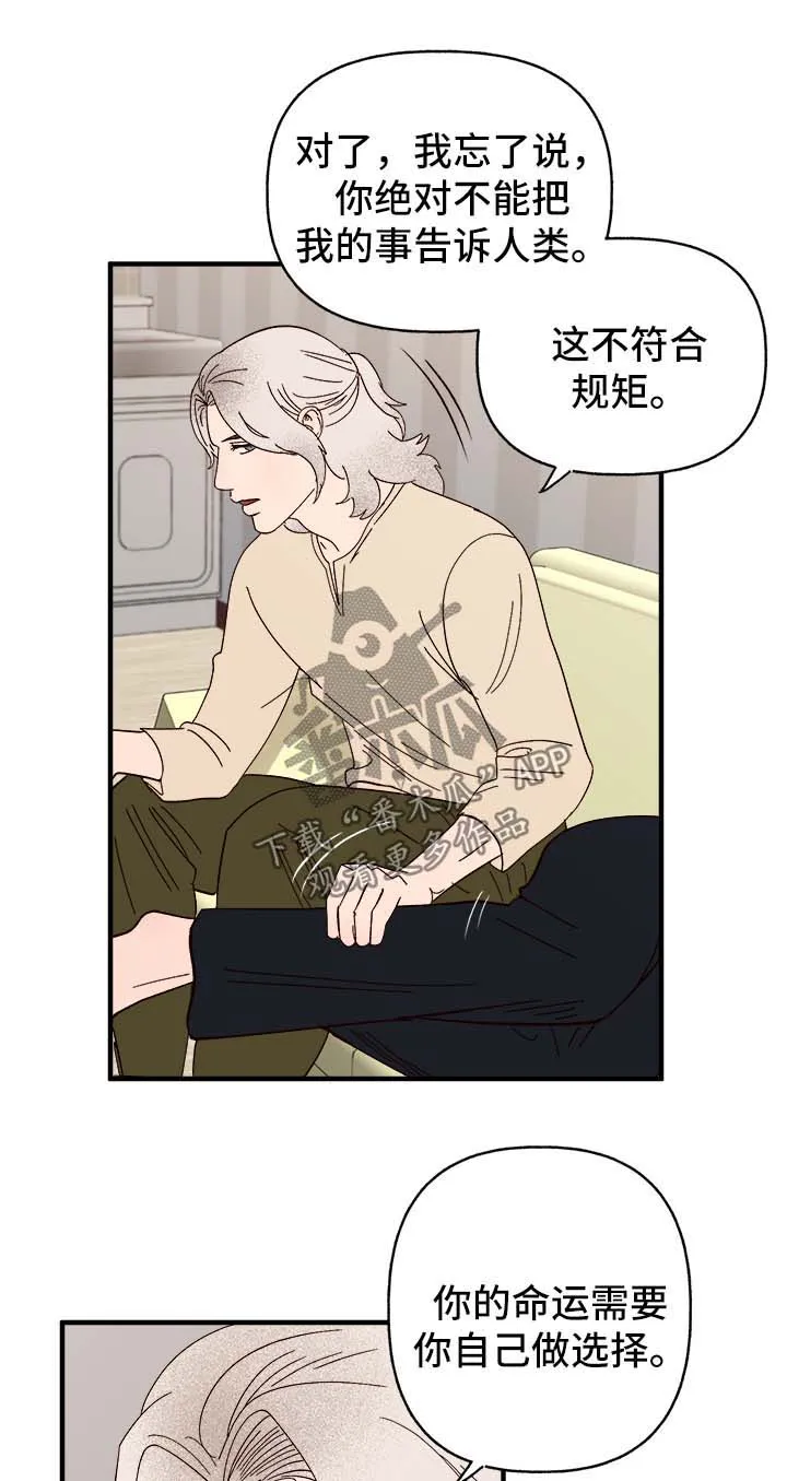 爱宠攻略你的主人漫画漫画,第37章：忠告7图