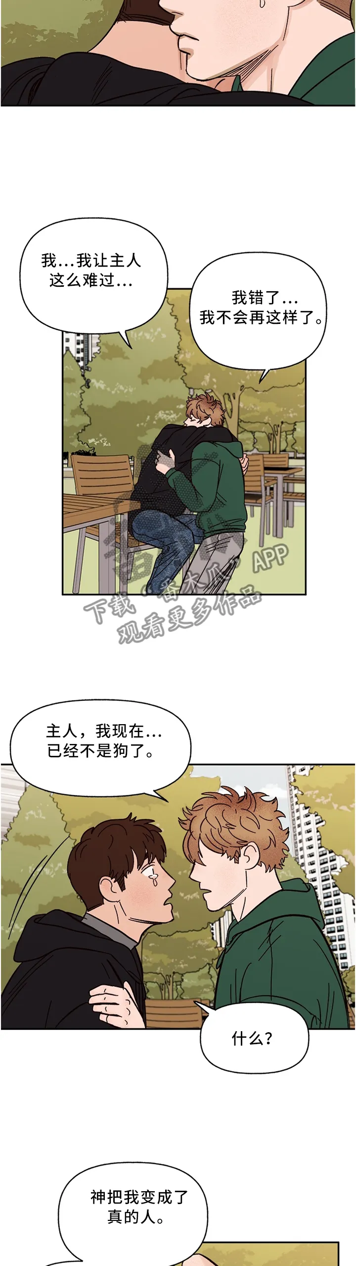 爱宠攻略漫画漫画,第65章：回家吧3图