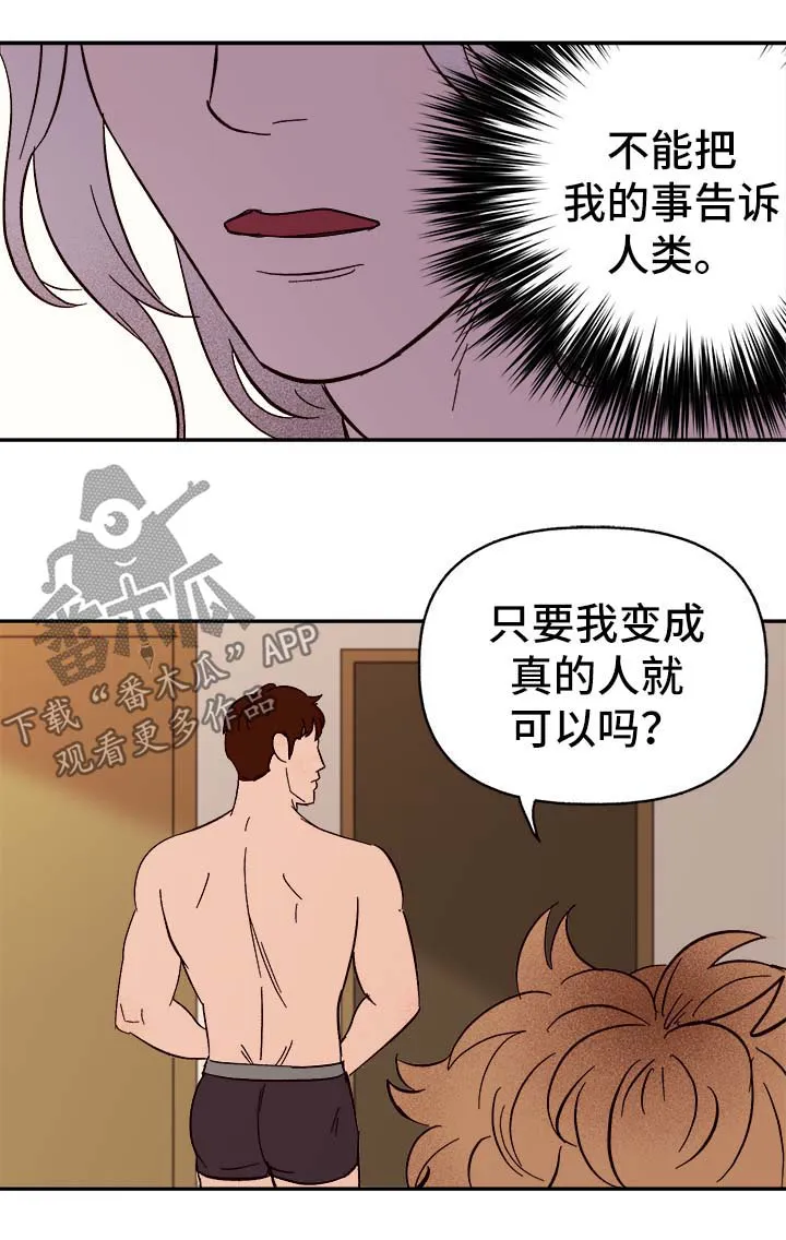 爱宠攻略漫画从哪看漫画,第41章：首先你是只狗7图