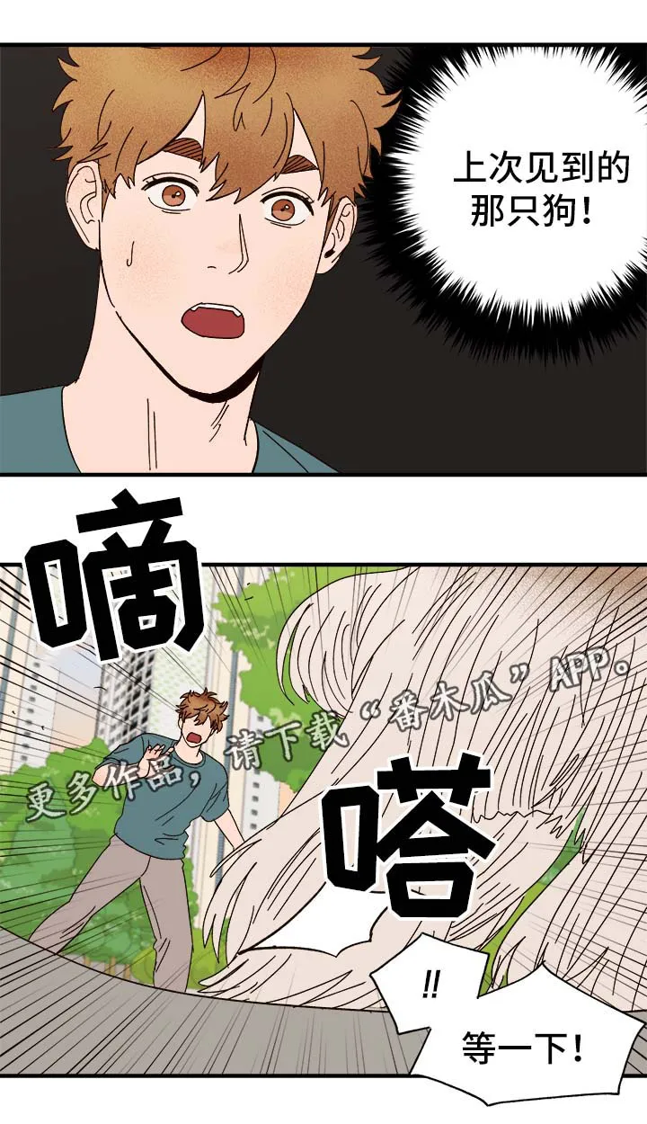 爱宠攻略你的主人漫画漫画,第33章：狗神7图