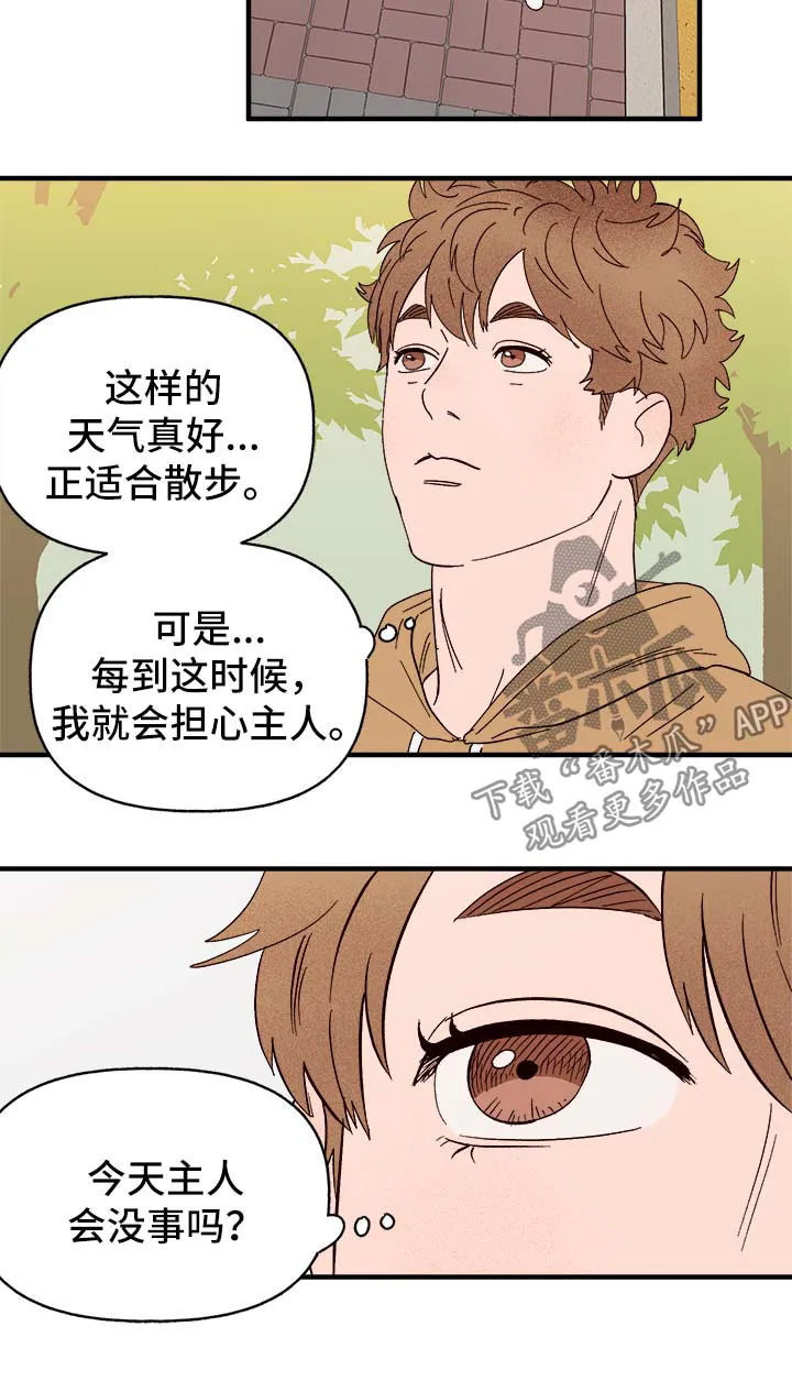 爱宠攻略你的主人漫画漫画,第37章：忠告2图