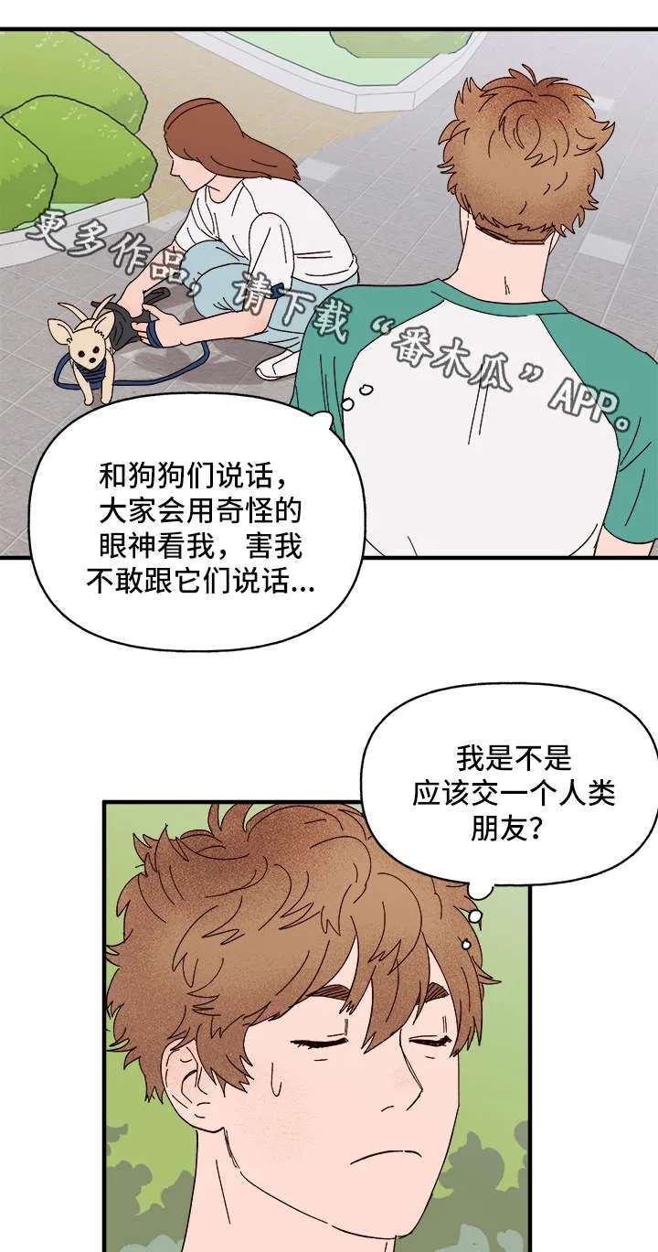 爱宠攻略漫画从哪看漫画,第26章：争风吃醋7图