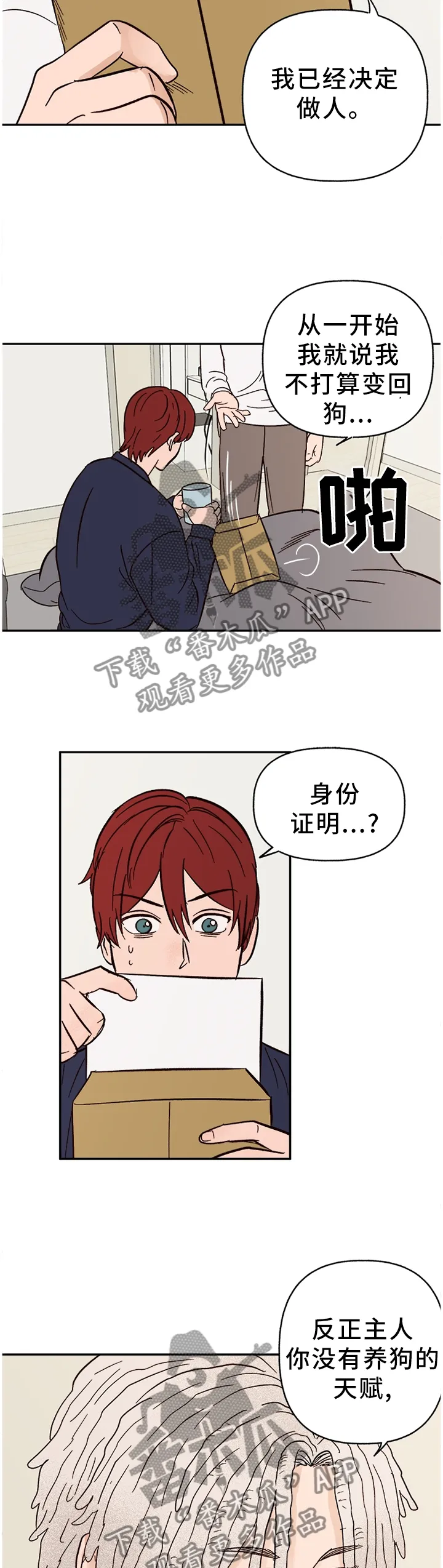 爱宠攻略解说动漫漫画,第77章：【番外】对我们都好11图