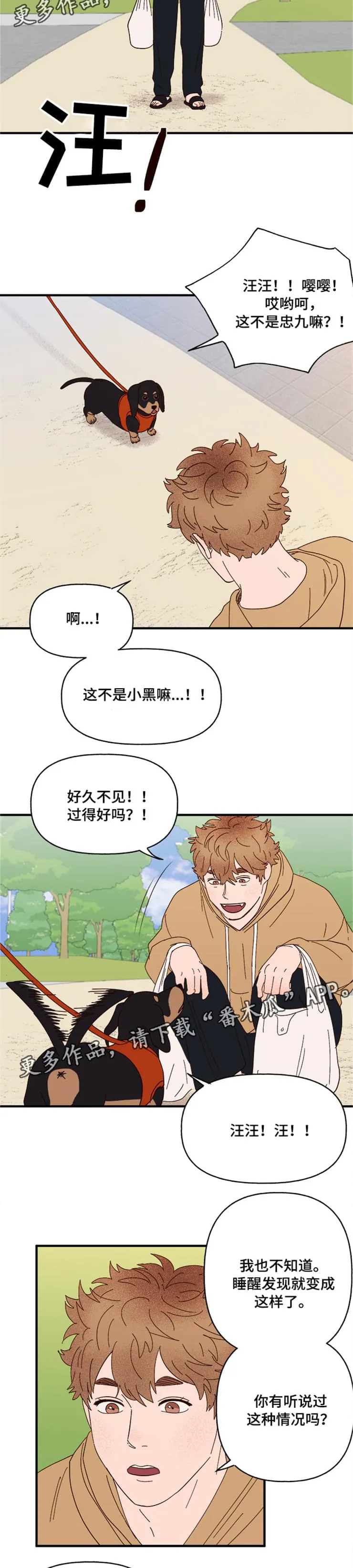 爱宠攻略小说漫画,第19章：传说9图