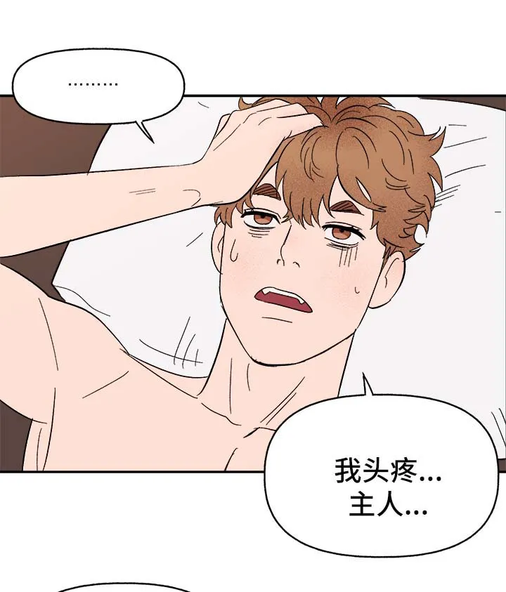 爱宠攻略小说漫画,第40章：和我在一起11图