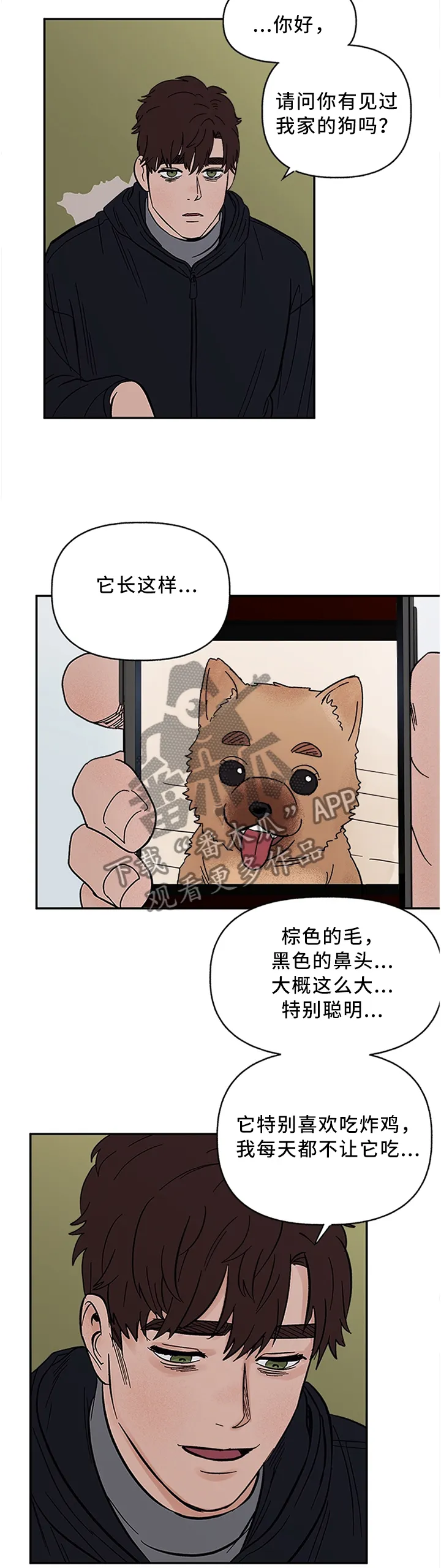 爱宠攻略小说漫画,第62章：失去主人的”狗”5图