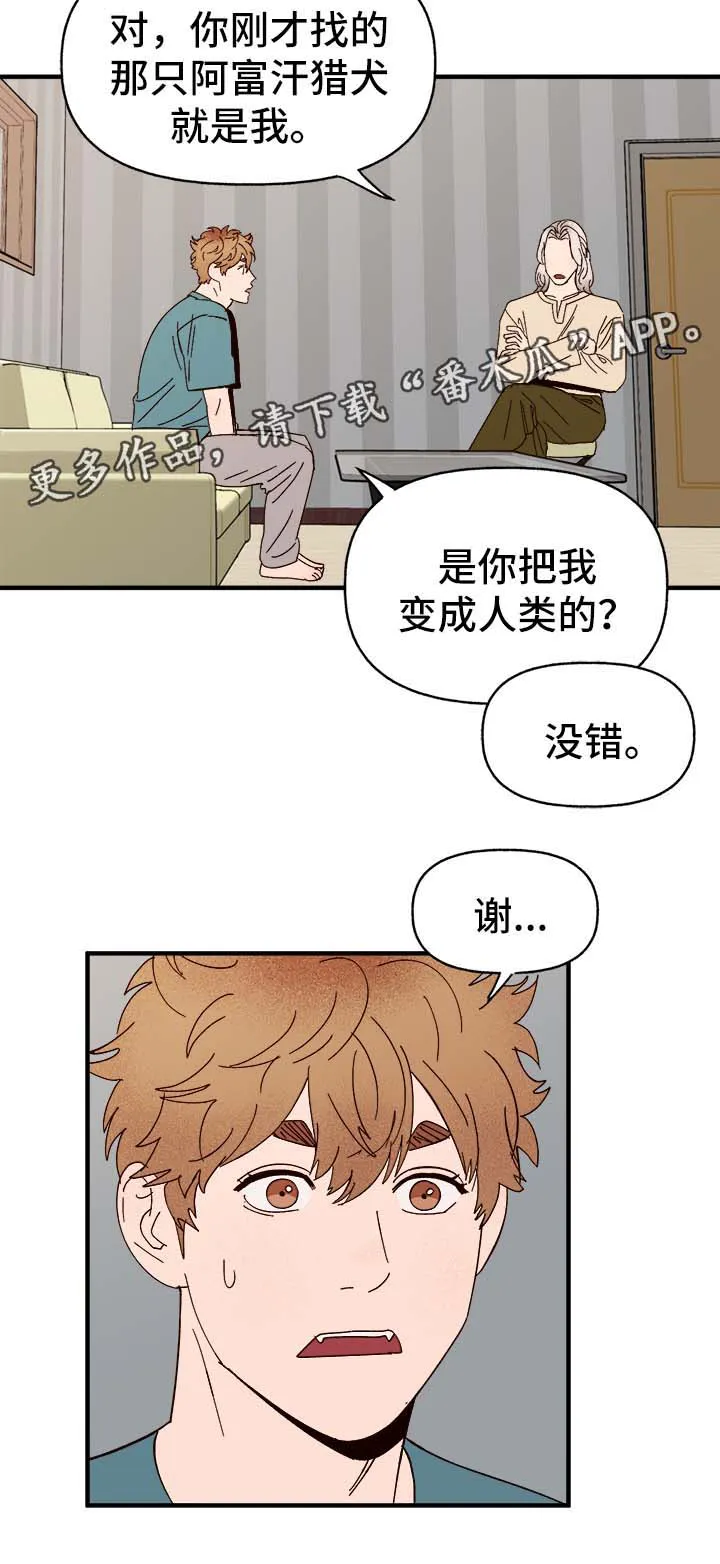 爱宠攻略你的主人漫画漫画,第34章：隐晦2图