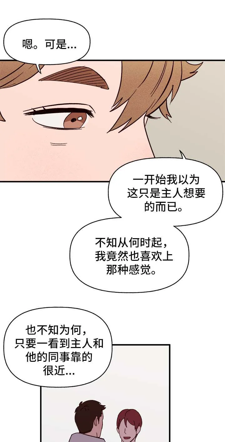 爱宠攻略你的主人漫画漫画,第37章：忠告12图