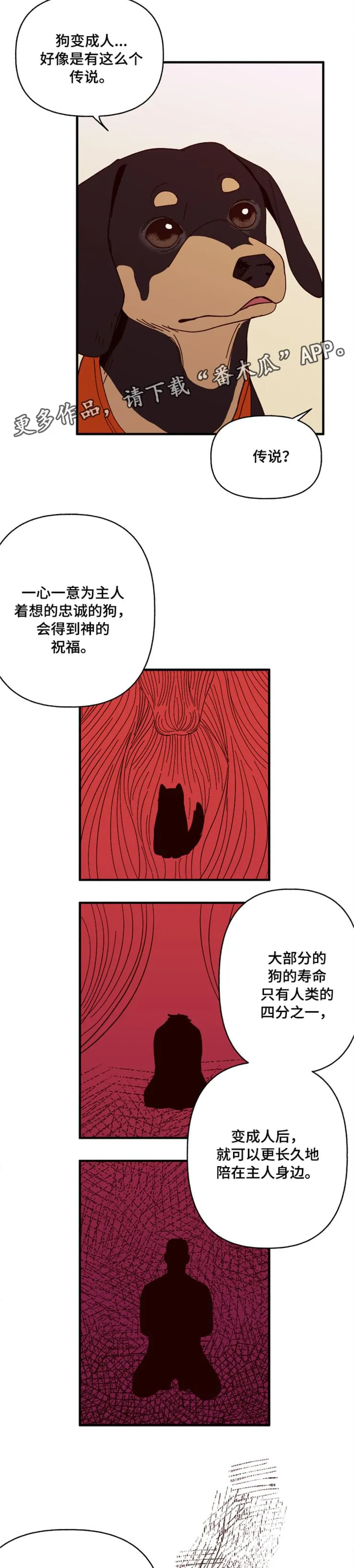 爱宠攻略小说漫画,第19章：传说10图