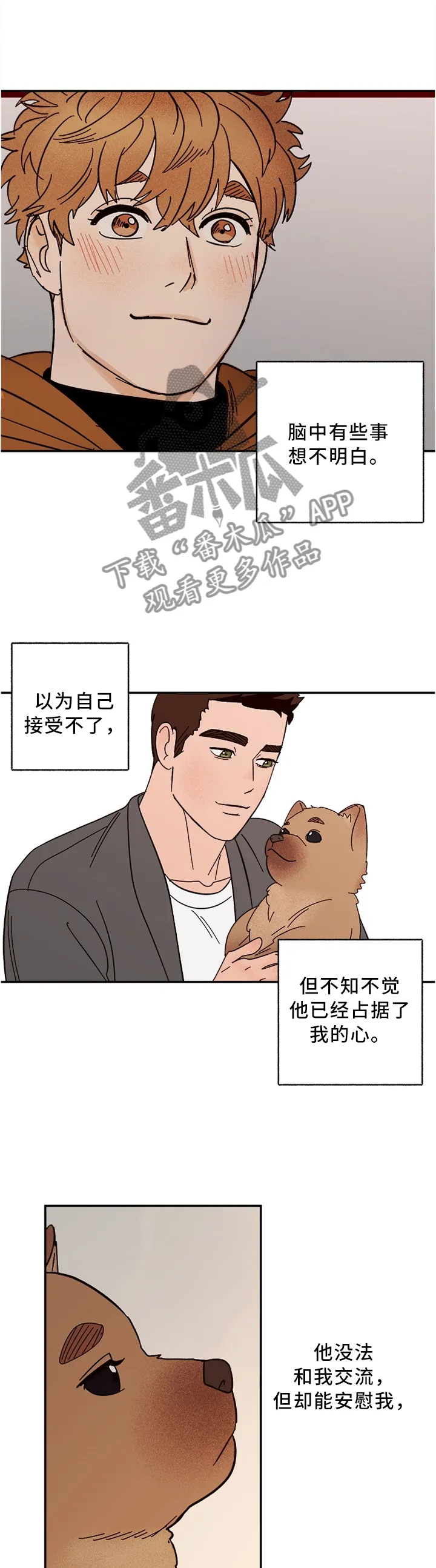 爱宠攻略漫画从哪看漫画,第70章：新的开始(完结)6图